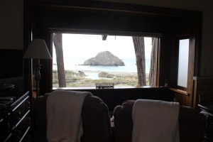 View from the room and Timmy.